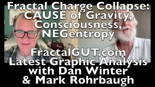 GRID EMBEDDING: Fractal Charge Collapse: CAUSE of Gravity, Consciousness, &Negentropy FractalGUT.com