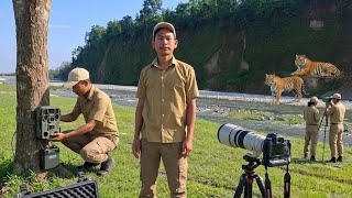 Wild Tiger Survey Mission: Deep Jungle Tracking Diaries 2026 Day-3 