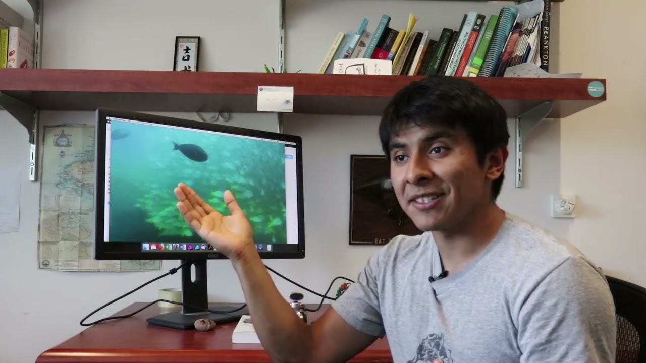 Creating Marine Protected Areas in the Sea of Cortez/Gulf of California