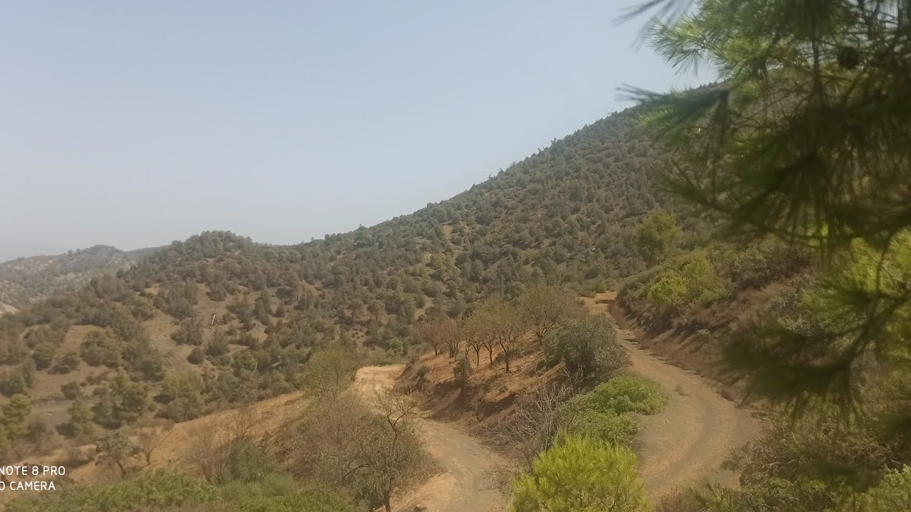 قصة من العشرية السوداء على المباشر من منطقة سيدي شعيب ولاية سيدي بلعباس