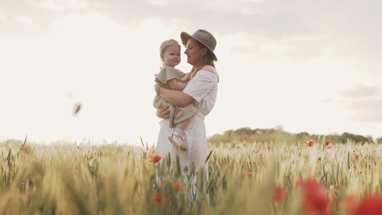 🔴 Affordable Adventures: Cheap Hotels In San Francisco!