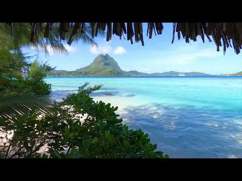 آية الكرسي والمعوذات مكررة القارئ سعد الغامدي مناظر طبيعية بدون ذوات الأرواح 4K 