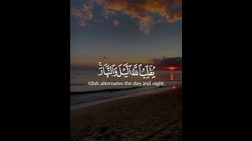 يقلب الله الليل والنهار إن في ذلك لعبرة لأولي الأبصار | سورة النور | القارئ شريف مصطفى