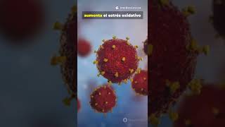 Esto en la pimienta negra te va a sorprender,   #salud #alimentossanos #bienestar
