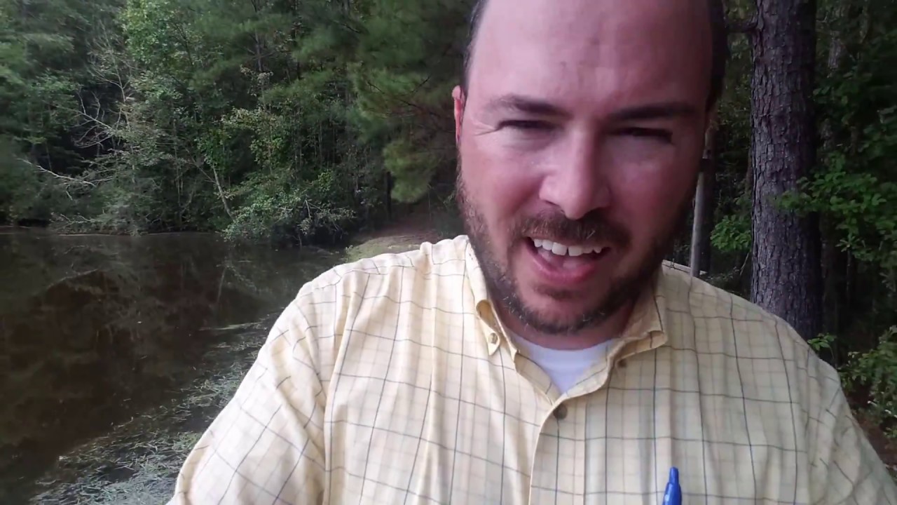 🏡 162 Josh Rd, Moselle MS 🛶 🌳🌳 YouTube