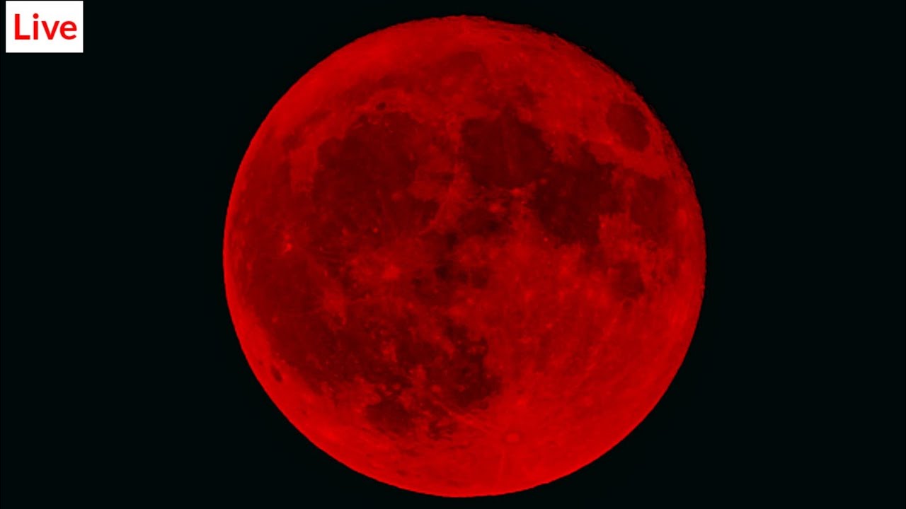 Total Lunar Eclipse (Blood Moon) Live 2025