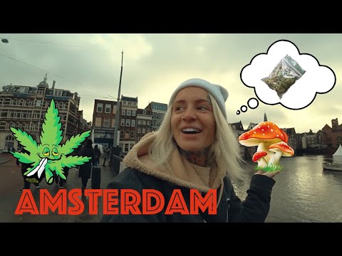 Video: Jinsi Ya Kupumzika Huko Amsterdam