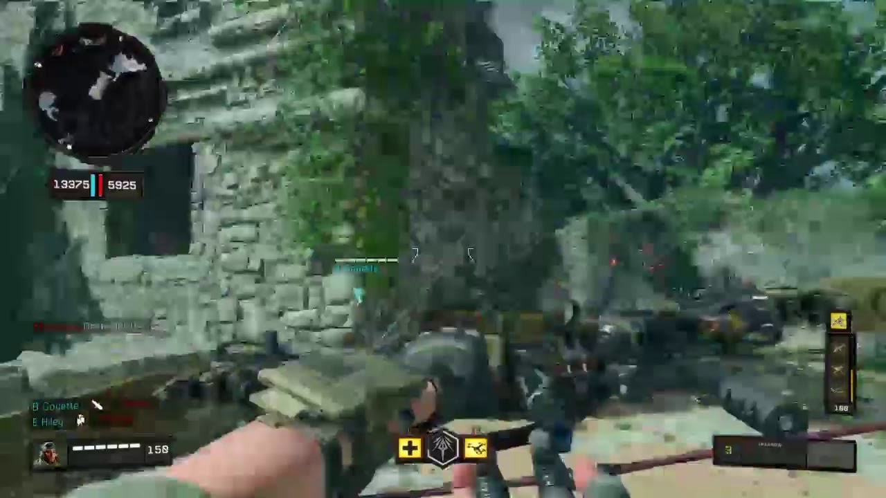 Having fun playing BO4 custom? Rules!