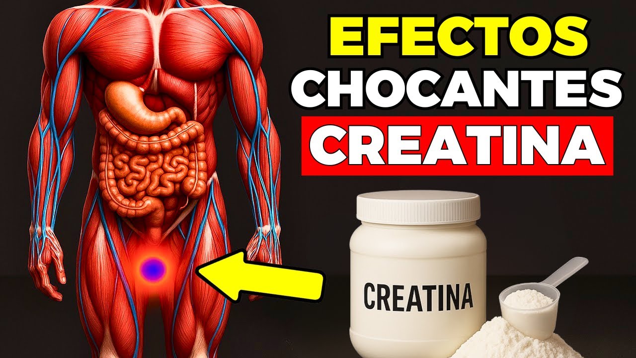 Solo el 1% lo Sabe: 12 Reacciones de tu Cuerpo al Tomar 5g de Creatina a Diario (Buenas y Malas)