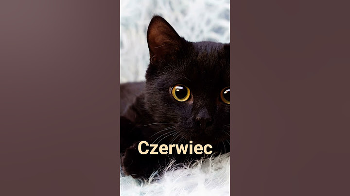 Twój miesiąc urodzenia=twój kot #koty #Cat #birthday #miesiące