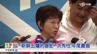 幫補教師站台 洪秀柱自稱魯蛇總統│中視新聞20151119