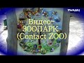 █ ЗАБАВНАЯ ЗЕЛЕНАЯ  МАРТЫШКА  с ДЕТЕНЫШЕМ / ЗООПАРК ПАРК / Monkey in the zoo