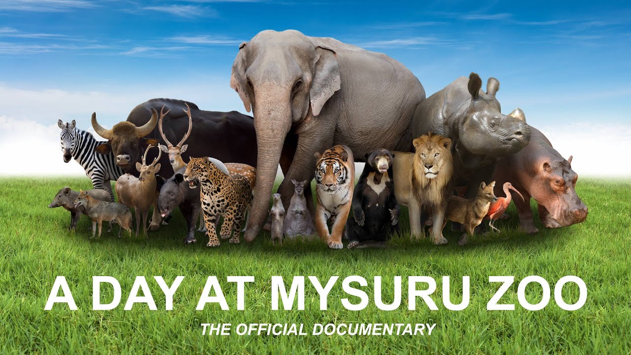 A Day at Mysuru Zoo   official documentary HD