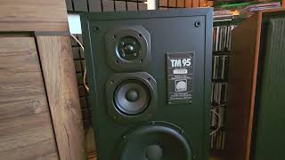 JLH 1969 Class A Clone & Arcus TM 95 Speakers