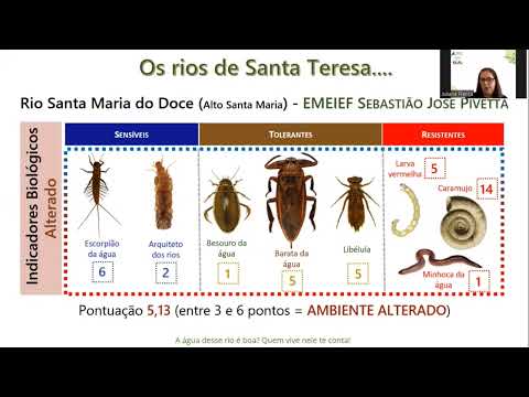 Quem vive nele te conta!