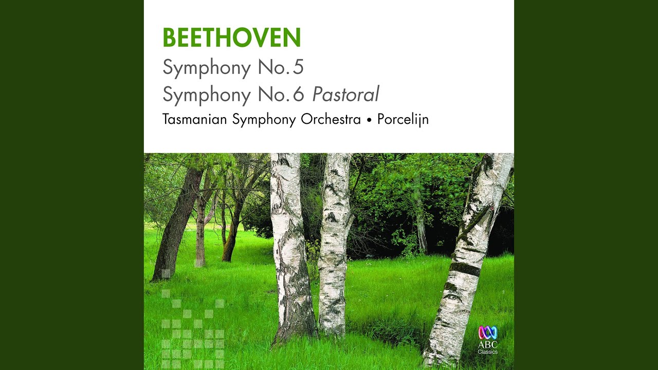 Symphony No. 6 in F Major, Op. 68 -"Pastoral": 3. Lustiges Zusammensein der Landleute (Allegro)