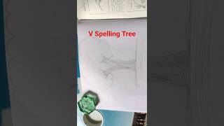 Writing V Spelling Tree ||A Step-by-Step Guide