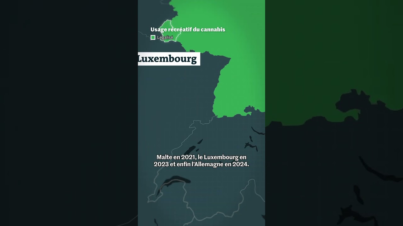 La carte du monde des pays qui ont légalisé le cannabis récréatif