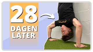 Leer Een Strict Handstand Push Up In 4 Weken Trainingsschema