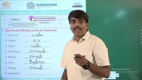 6TH AUG TS SCIENCE CLASS V ASSIGNMENT KEY