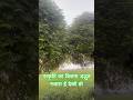 Nature Lovers Love this beautiful view #nature #shortsviral #beautifulviews #reels #youtubeshorts