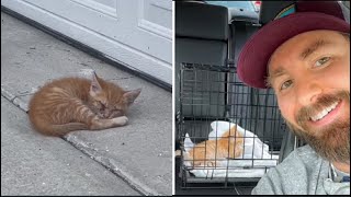 Popular TikTok Couple Rescue Sickly Kitten Discovered Sleeping By Their Garage Door