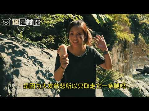 台灣版 荒野求生 EP4