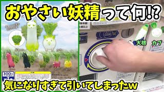 【ガチャガチャ】お野菜が妖精になってしまったフィギュアが可愛すぎるｗ【ガシャポン、カプセルトイ】【ダイコンとカブ―】