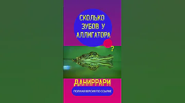 Сколько зубов у Аллигатора