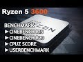 AMD Ryzen 5 3600 Benchmark | Asus Prime x470-Pro | Patriot Viper 16gb 3600Mhz | Cinebench R15 R20