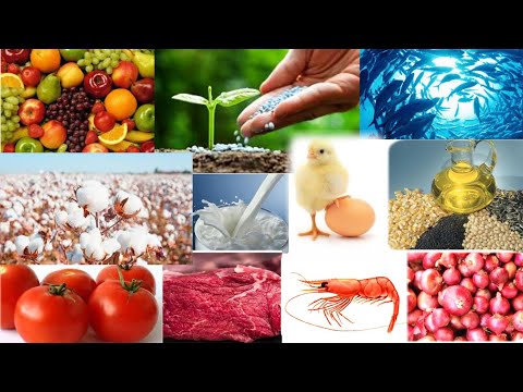 Know about all Revolutions related to Agriculture | Important for ICAR's JRF,SRF,NET/ARS, SAU's Exam