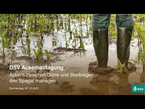 weißklee saatgut 25kg Saatgut Zwerg-Weißklee - Trifolium repens main image 1