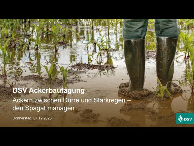 zimmerpflanze knstlich Knstliche Deko-Pflanze XL fr Ihr Zuhause
