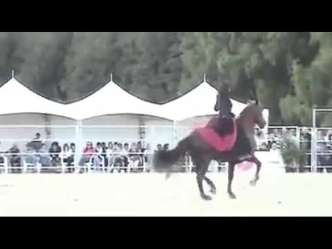 انا كم نصحتك يا صديقي انها متمردة انها العنود الكبرياء