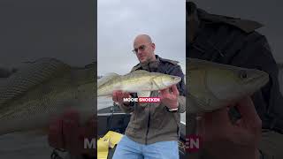 Een topdagje op het water! #snoek #snoekbaars #baars #roofvis #vissen #visgids