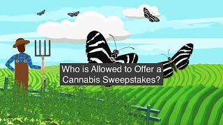 How to Run a Cannabis Sweepstakes, Contest or Giveaway