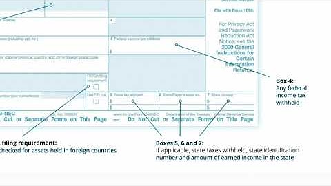 Form 1099-NEC Online Instructions_ Reporting Non-Employee Compensation for 2020 _ Taxseer