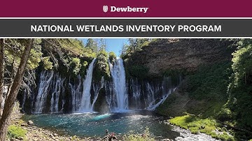 National Wetlands Inventory Program