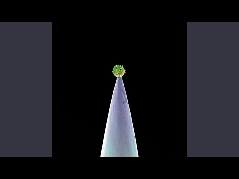 Downside Up (New Blood Version Instrumental)