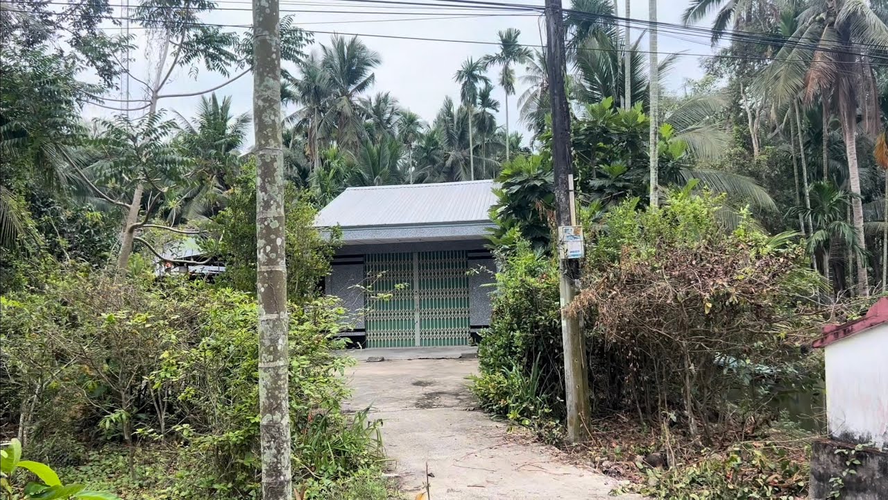 Vùng Quê Tắc Cậu Xóm Làng Người Hoa, Rẩy Nước Ngọt Hiện Giờ Ra Sao ?.