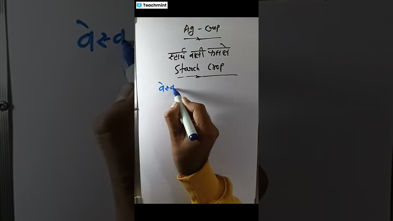 MPPAT –2026 की पूरी जानकारी ll PAT test 2026 Exam CGPAT syllabus 2024 | CGPAT 2024 ki tyari