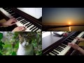 【ネコ歩き弾いてみた㉗】ネコと夕陽 / 髙野正樹【Music w/ cat】