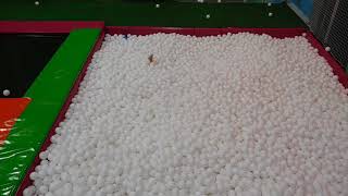 DSCN4633