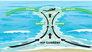 MBFD Beach Safety PSA