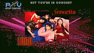 Senoritarearranged Extended Ver. Concert Effect With Fans G Idle Pov Kpop Concert