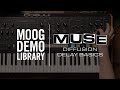Muse | Diffusion Delay