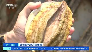 [第一时间]建设现代化产业体系 科技赋能 智能化装备助力“海上粮仓”增产增收| 财经风云