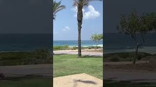 At The Park Sea Side View In Haifa Israel