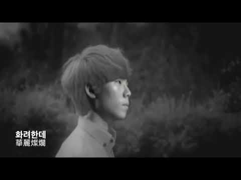 【韓中歌詞】정승환-사랑에 빠지고 싶다 鄭承煥-想陷入愛情