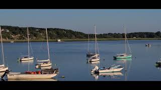 Wellfleet Harbor in the Summer 2021